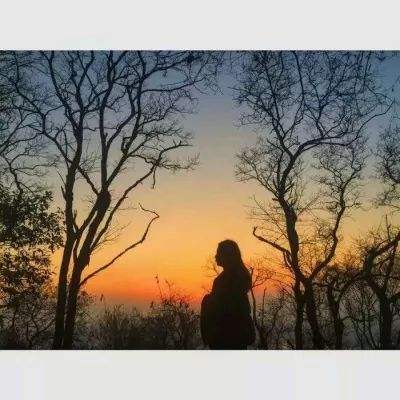 pg电子·模拟器(试玩游戏)app下载