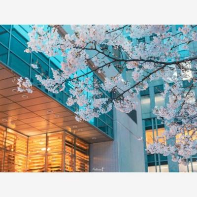 江南网页入口官方正版