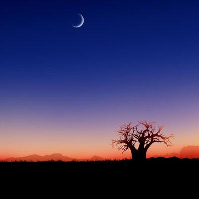 8188www威尼斯下载手机版