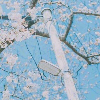 江南体育app下载下载手机版