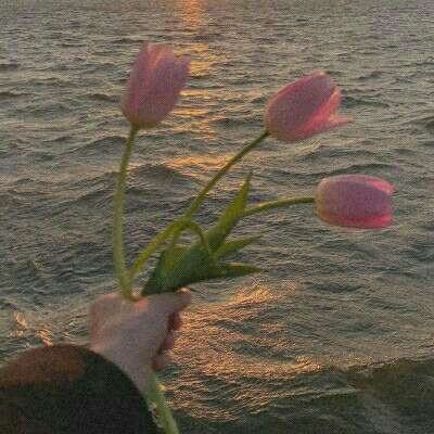 好彩网下载手机版