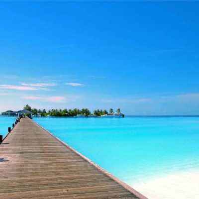 hth·华体育APPapp下载