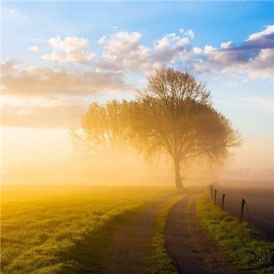 leyu·乐鱼(中国)体育